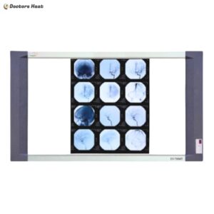 Ecomed EV-750MT LED X-Ray View Box - Double Panel